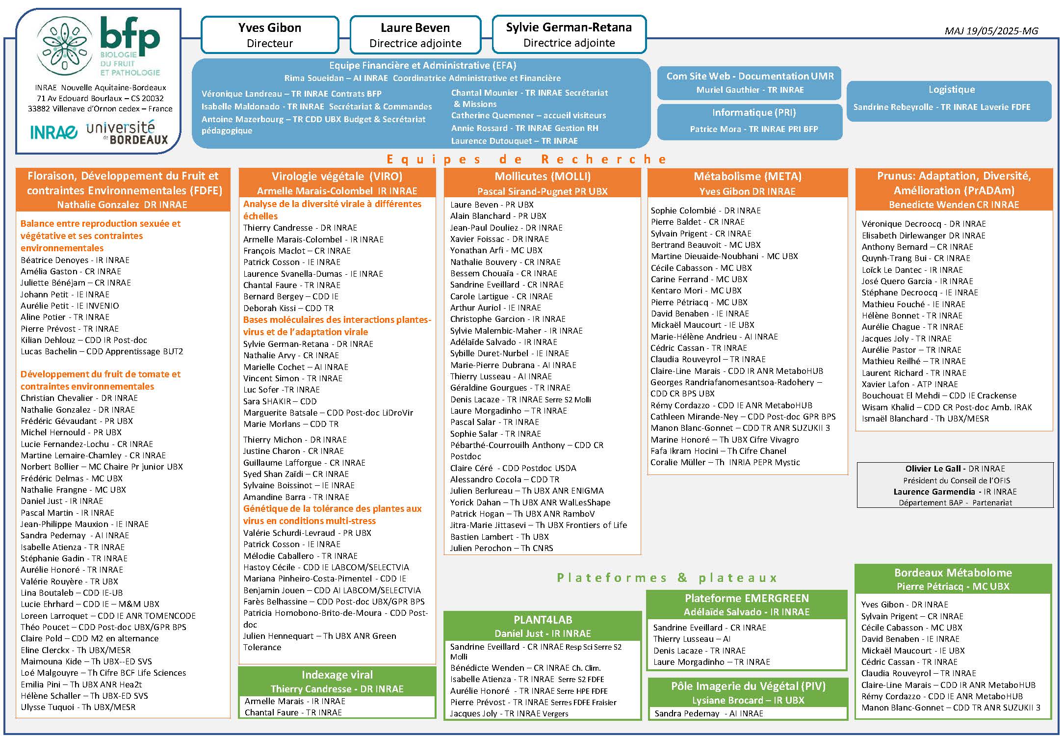 organization chart UMR BFP 2025