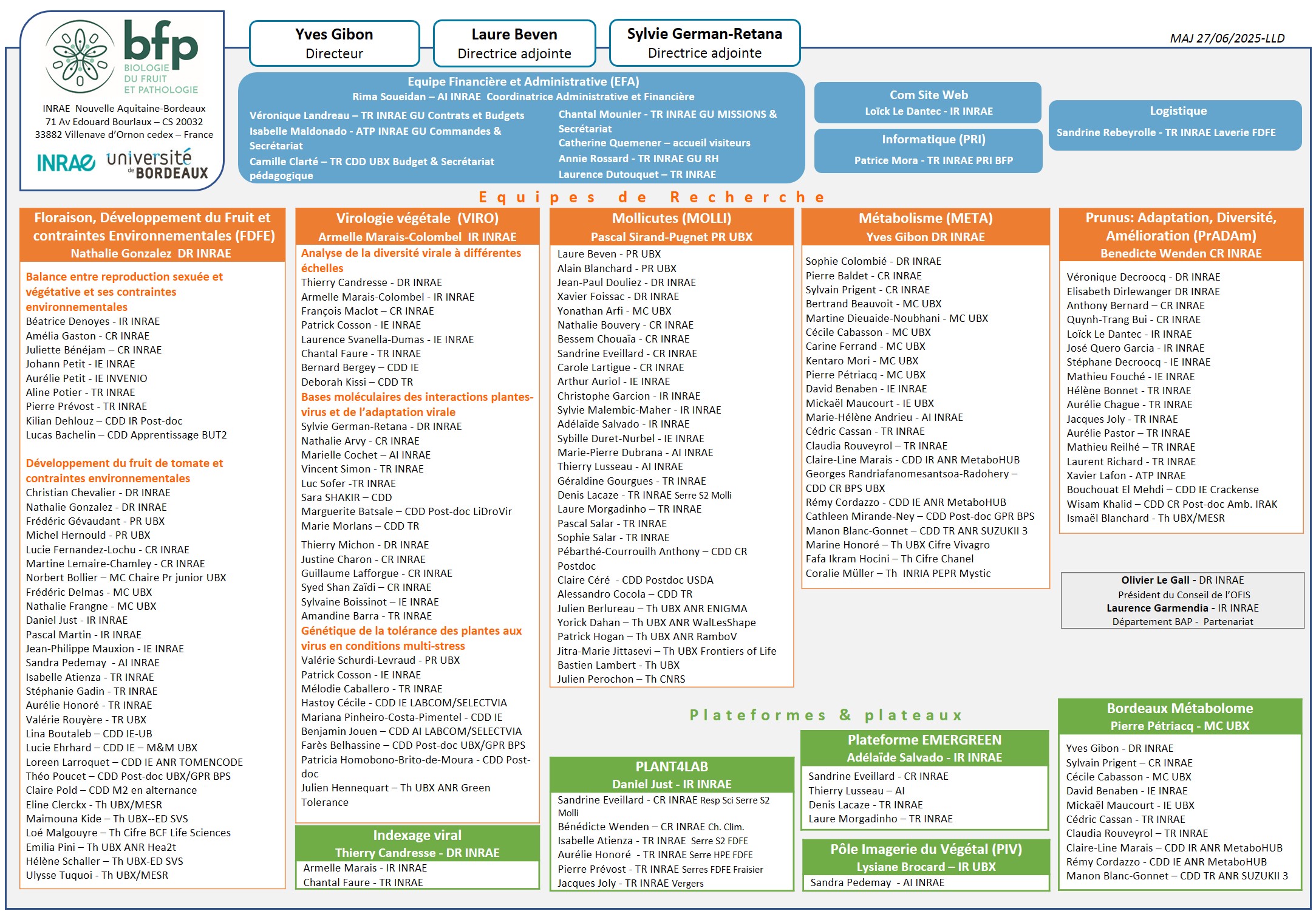 organization chart UMR BFP 2025