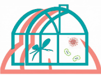 logo EMERGREEN