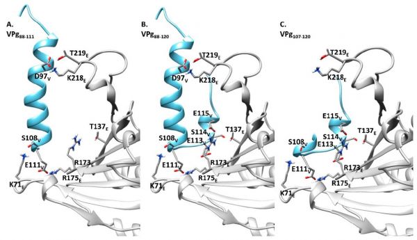 Figure 1B