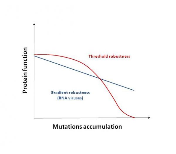 Figure 1 . Two modes of mutational impact on organisms’ fitness (adapted from Tokuriki et al. 2009). 